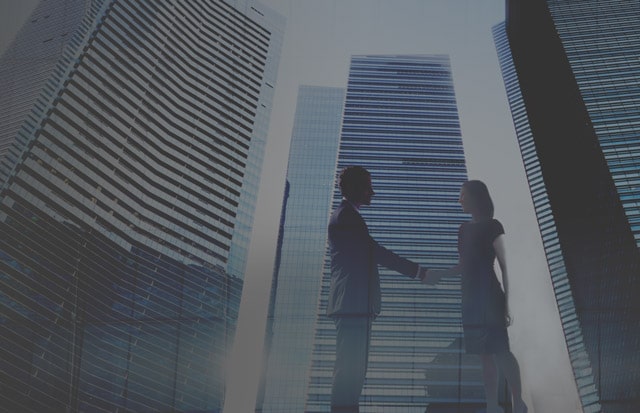 Haug Partners